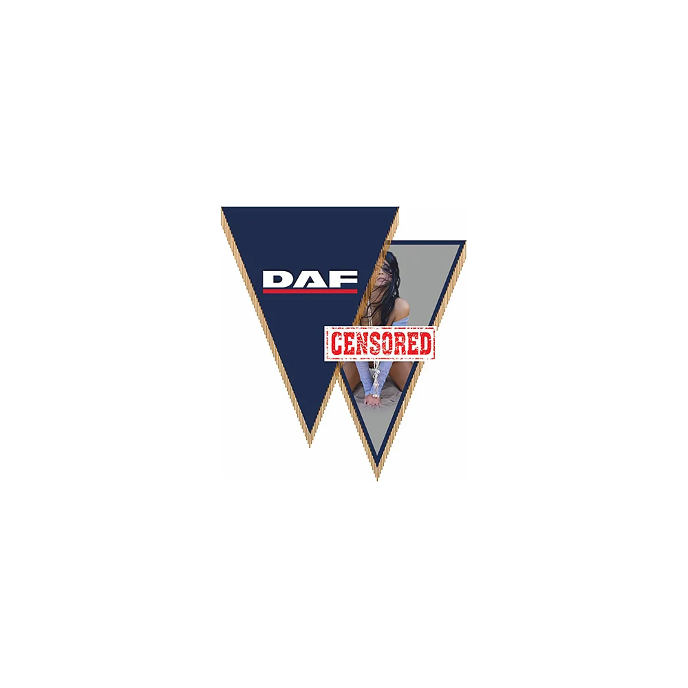 Треугольный Вымпел DAF SKYWAY S05101014