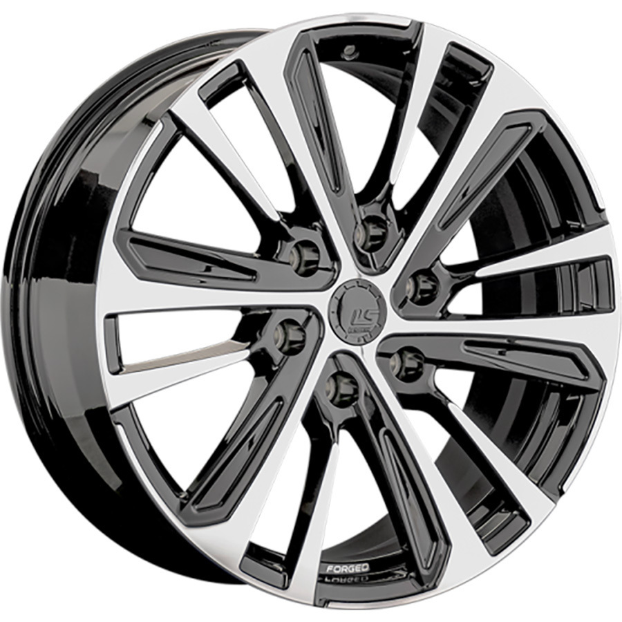 LS FG19