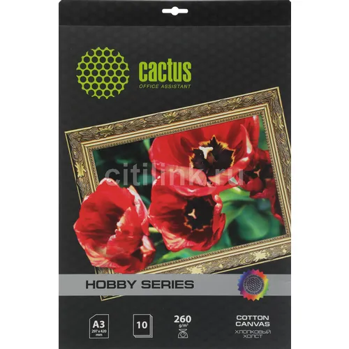 Холст для струйной печати Cactus CS-CA326010
