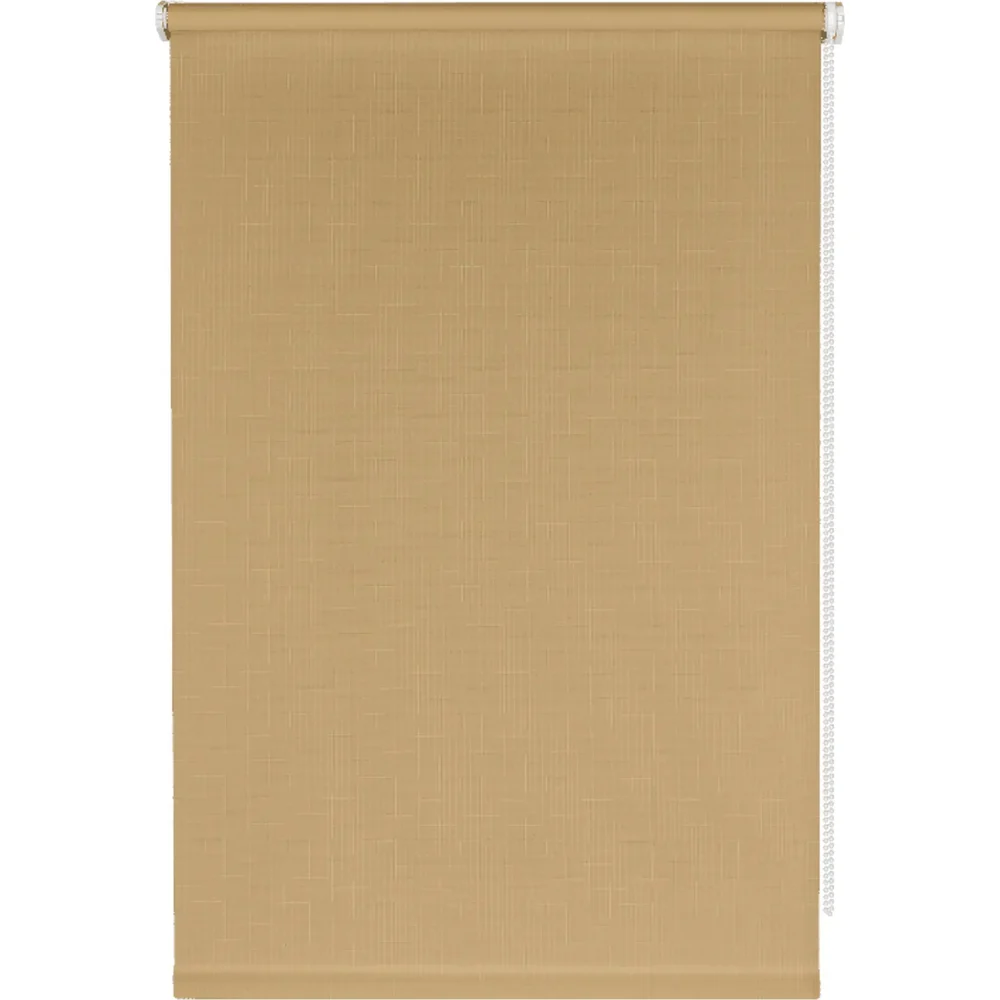 Рулонная штора PRAKTO SCREEN 65X165