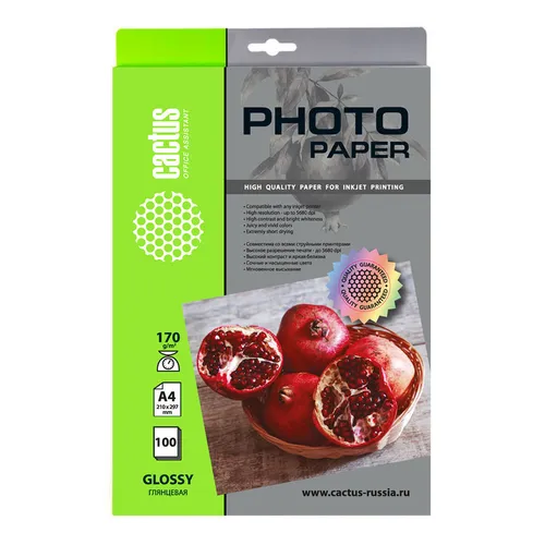 Фотобумага CACTUS CS-GA4170100