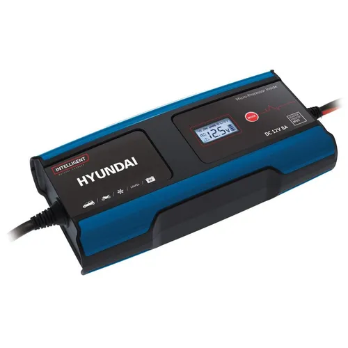 Зарядное устройство Hyundai Hy 810