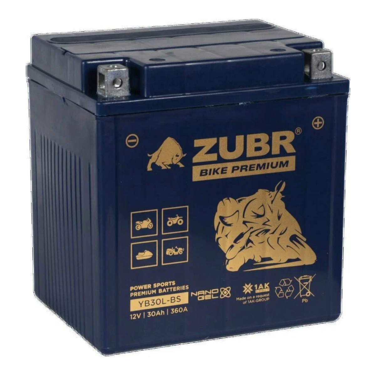 Zubr BIKE PREMIUM 126 175 168 обратная