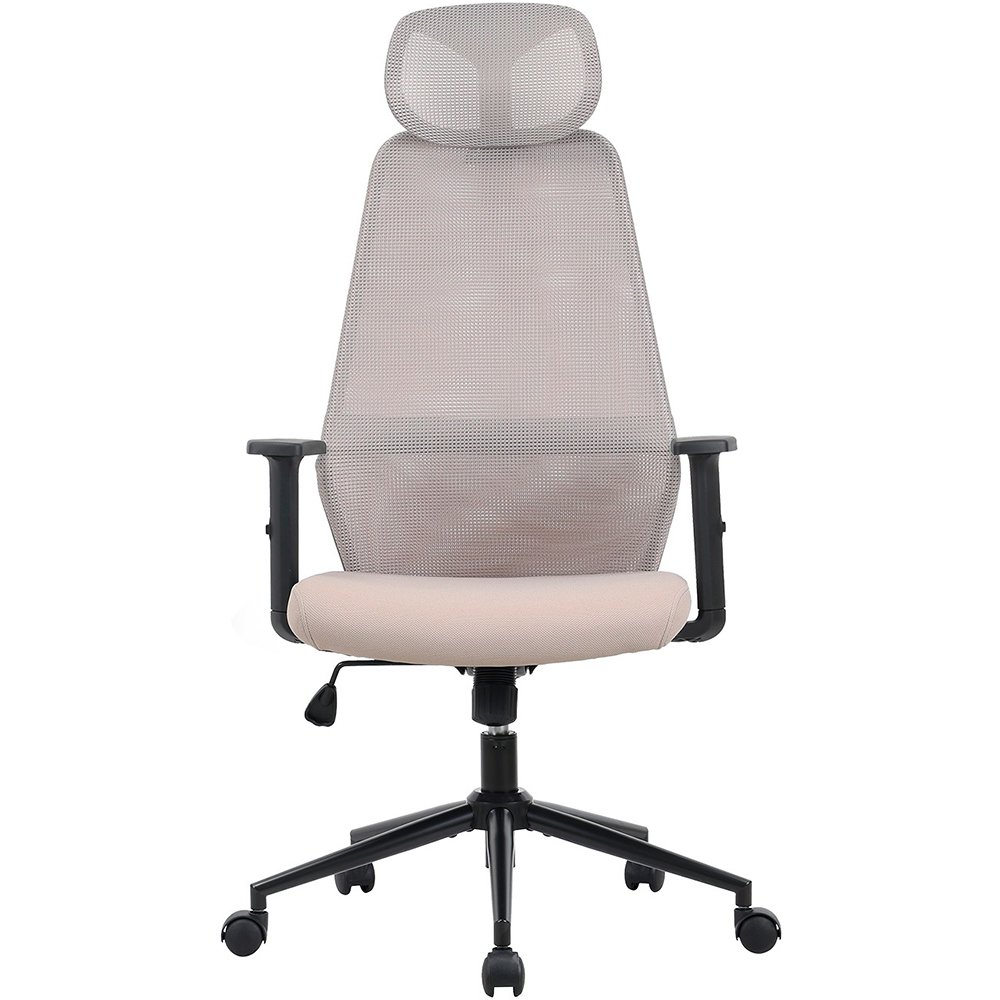 Компьютерное кресло ZONE VECTIS ONE Light Beige Z51FVCOLB