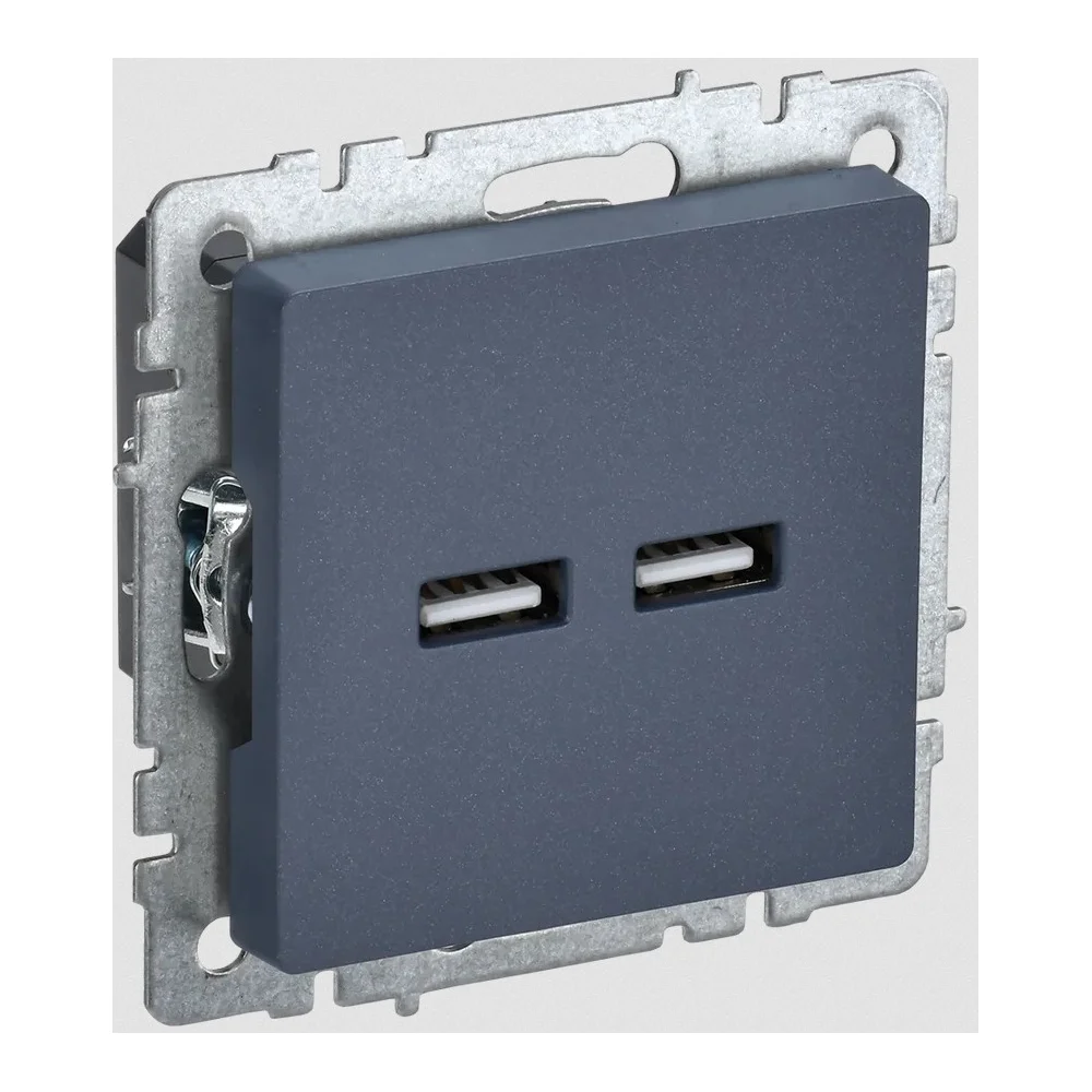 Розетка USB IEK Brite BR-U21-D31-K35