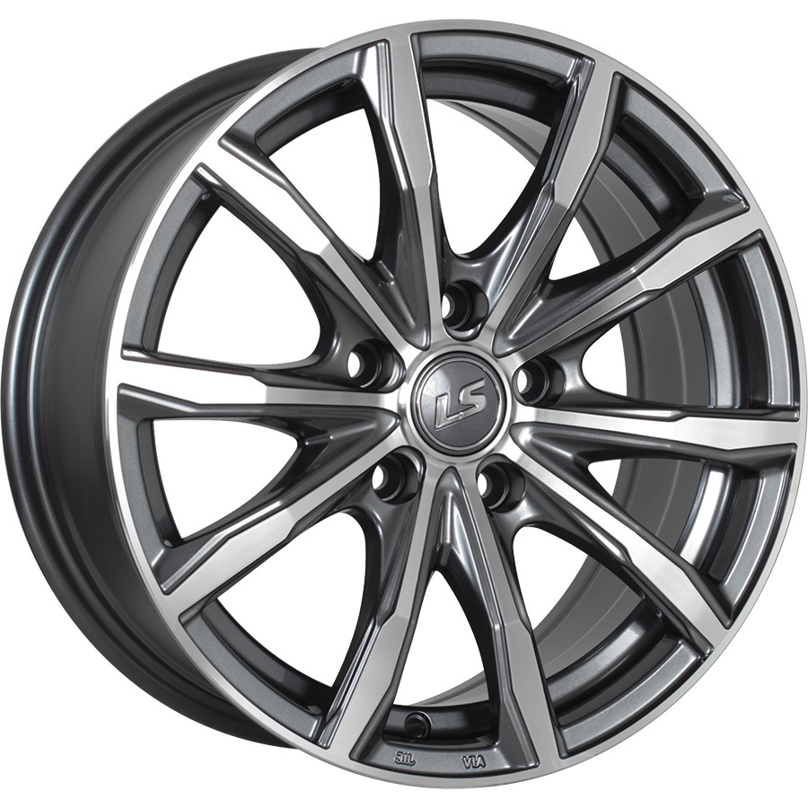 LS 6X16/4X100