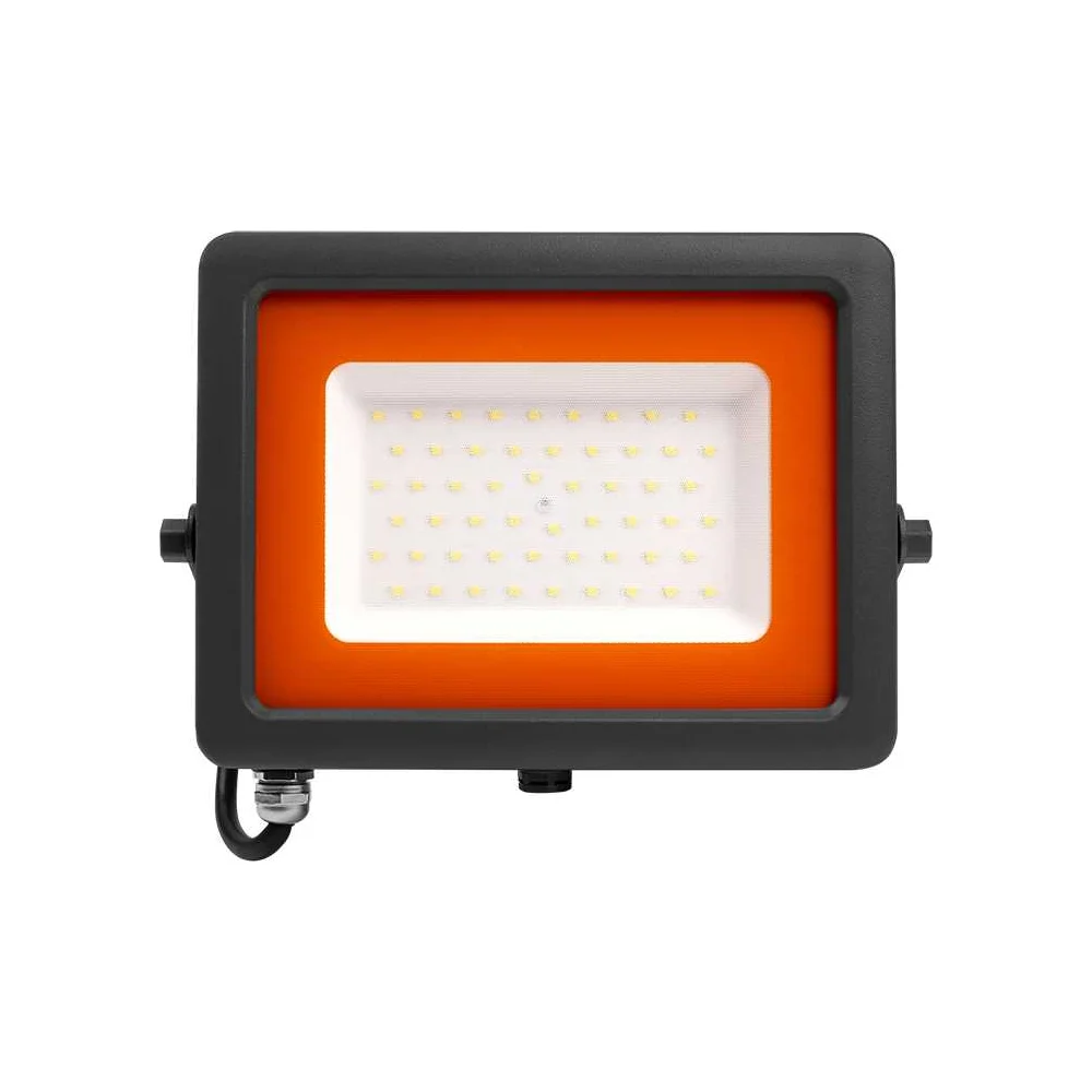 Светодиодный прожектор Jazzway PFL-S2