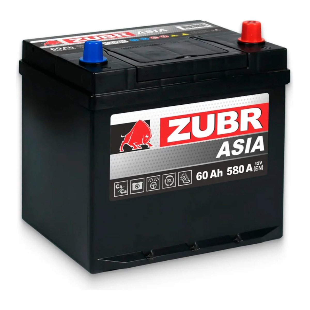Zubr ULTRA ASIA 175 225 232 обратная