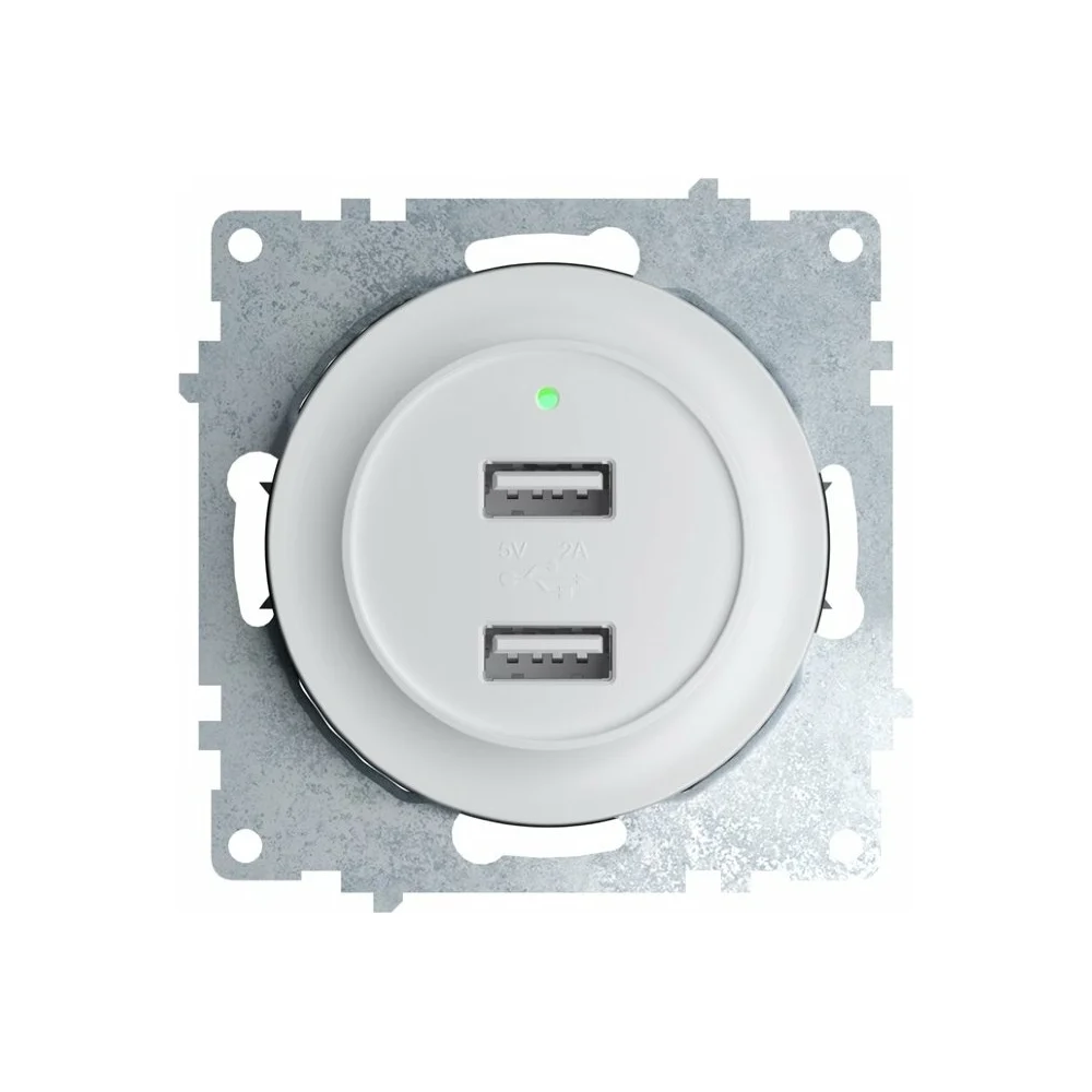 Двойная USB розетка с подсветкой OneKeyElectro, цвет белый 2260089